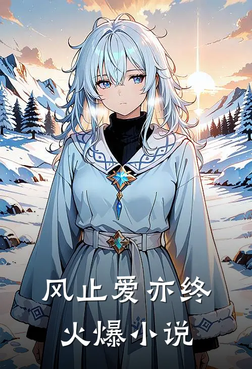 风止爱亦终火爆小说
