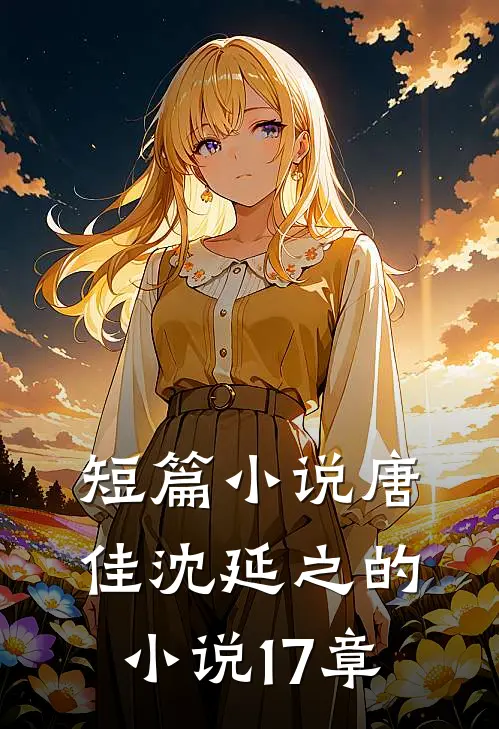 短篇小说唐佳沈延之的小说17章