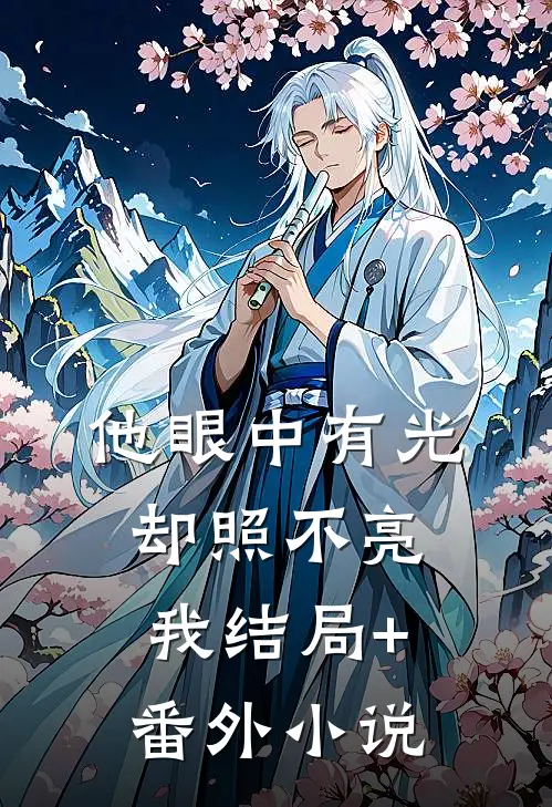 他眼中有光，却照不亮我结局+番外小说