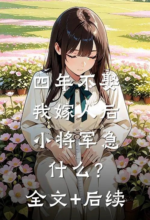 四年不娶，我嫁人后小将军急什么？全文+后续