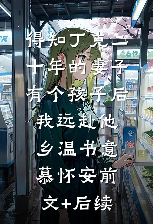 得知丁克二十年的妻子有个孩子后，我远赴他乡温书意慕怀安前文+后续