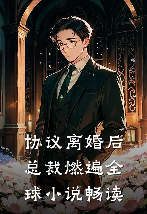 协议离婚后，总裁燃遍全球小说畅读