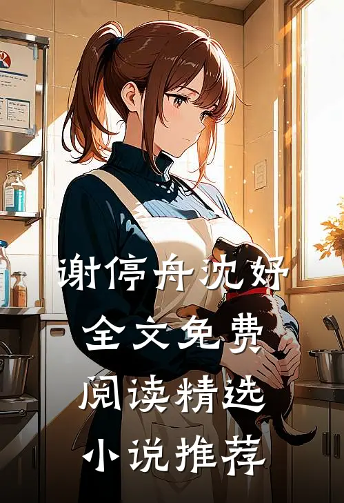 谢停舟沈妤全文免费阅读精选小说推荐