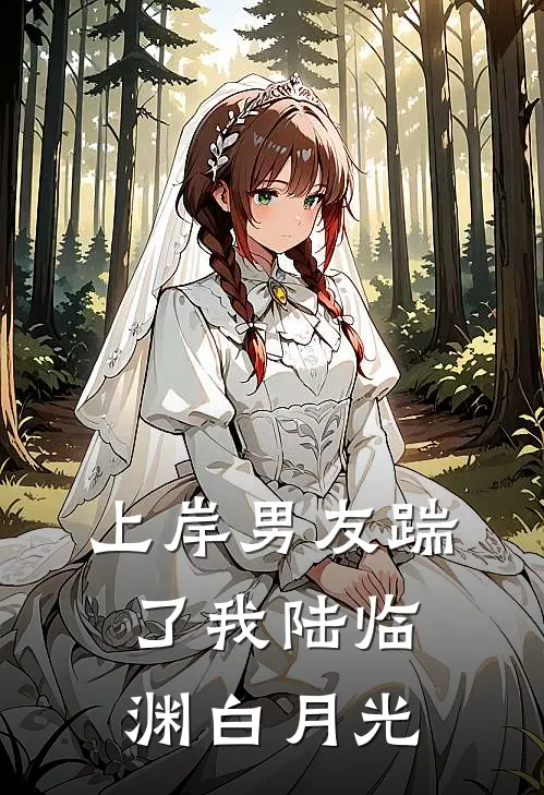 上岸男友踹了我陆临渊白月光
