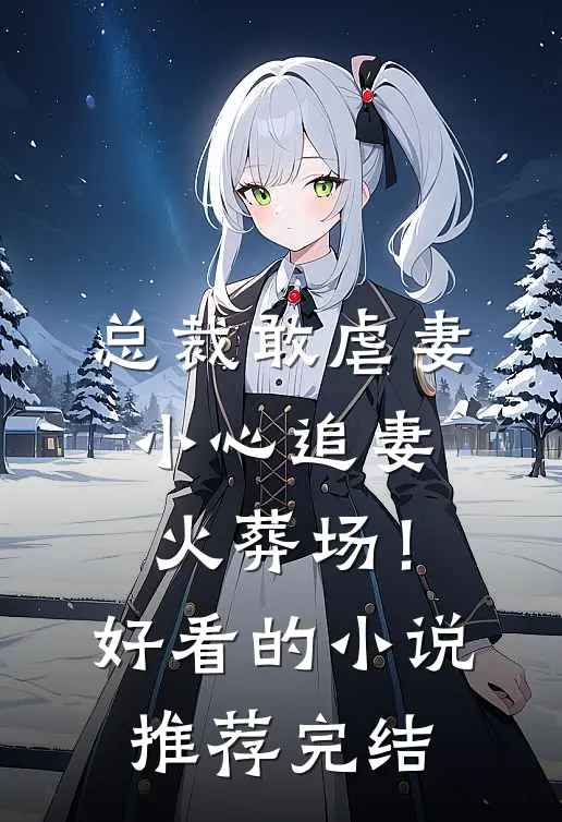 总裁敢虐妻，小心追妻火葬场！好看的小说推荐完结