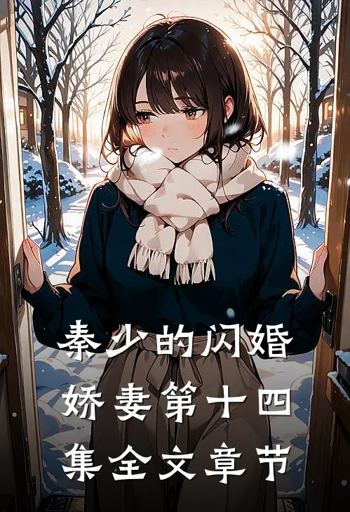 秦少的闪婚娇妻第十四集全文章节