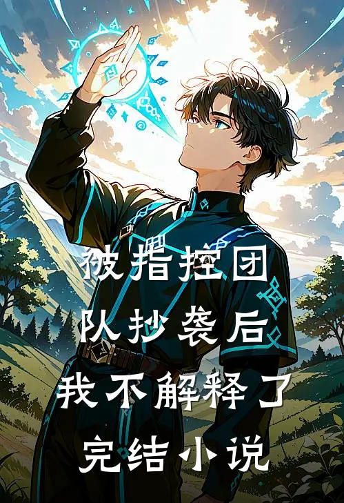 被指控团队抄袭后，我不解释了完结小说