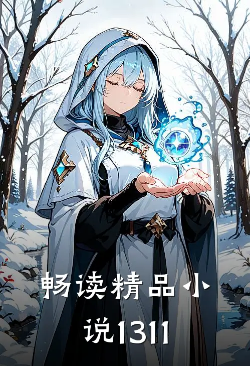 畅读精品小说1311