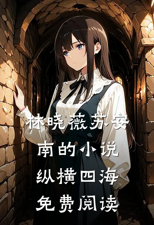 林晓薇苏安南的小说纵横四海免费阅读