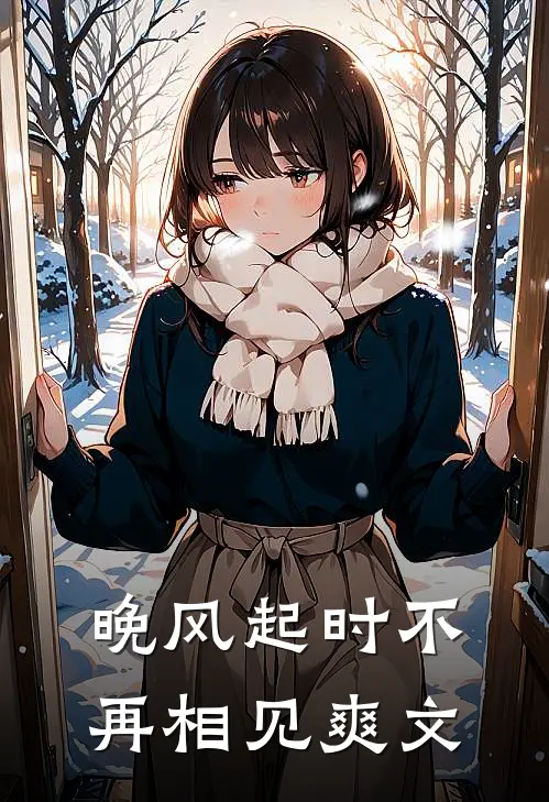 晚风起时不再相见爽文
