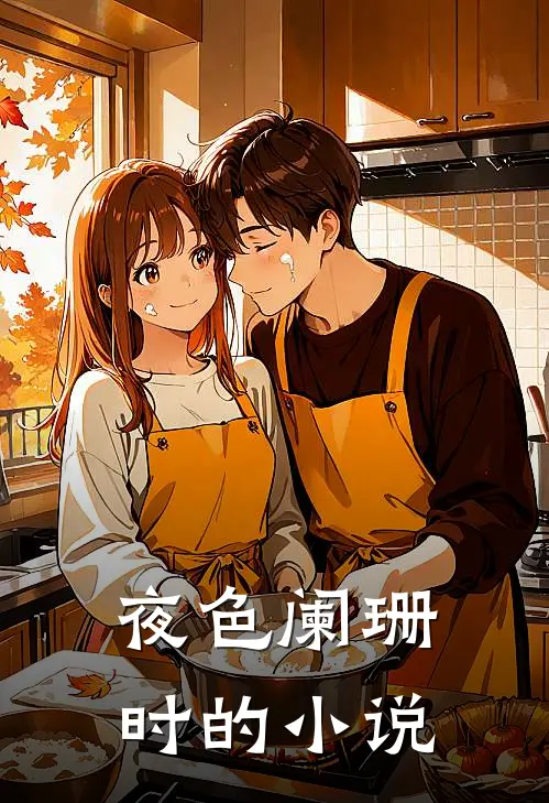 夜色阑珊时的小说