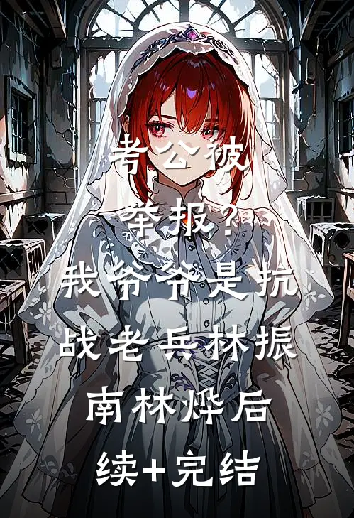 考公被举报？我爷爷是抗战老兵林振南林烨后续+完结