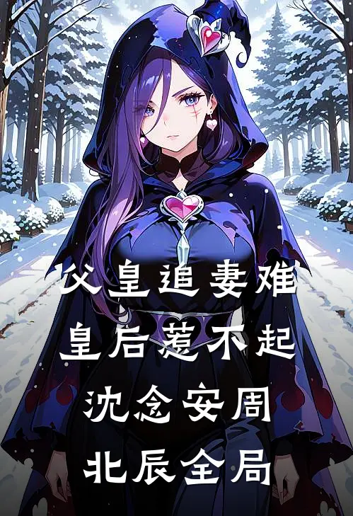父皇追妻难，皇后惹不起沈念安周北辰全局