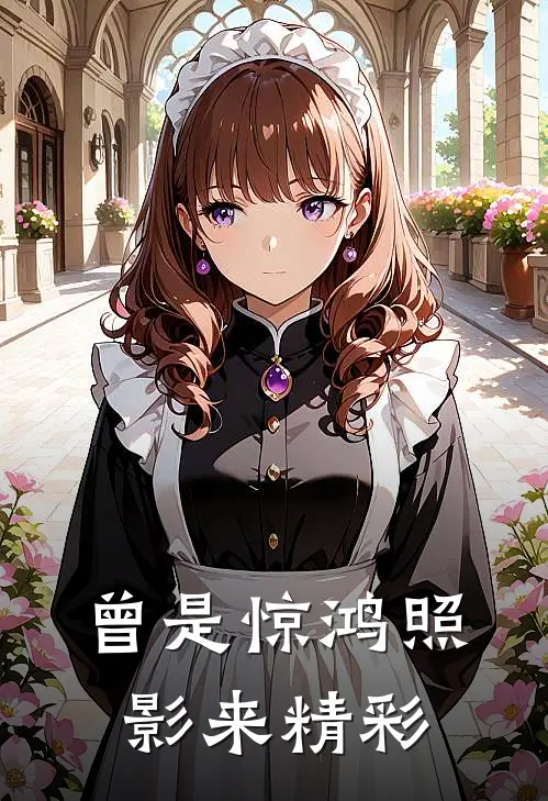 曾是惊鸿照影来精彩