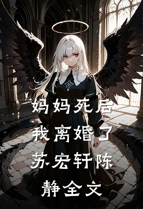 妈妈死后，我离婚了苏宏轩陈静全文