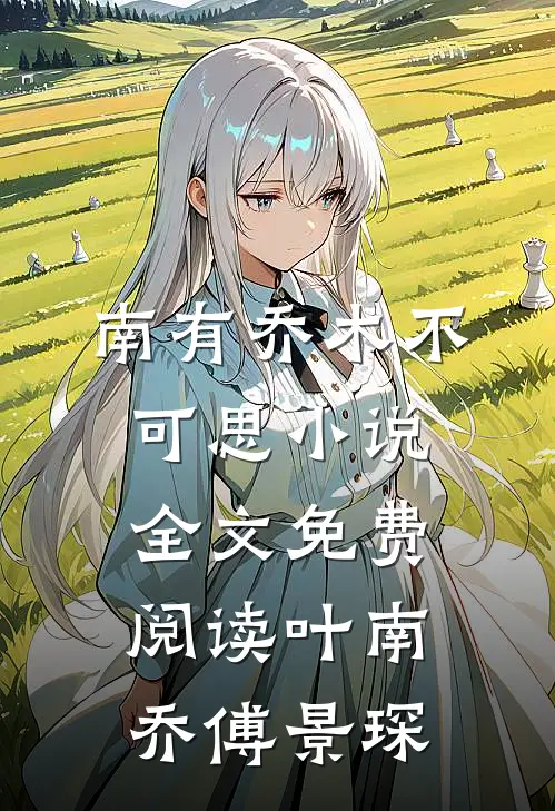 南有乔木不可思小说全文免费阅读叶南乔傅景琛