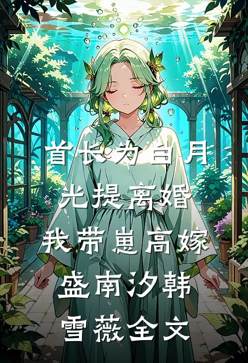 首长为白月光提离婚，我带崽高嫁盛南汐韩雪薇全文