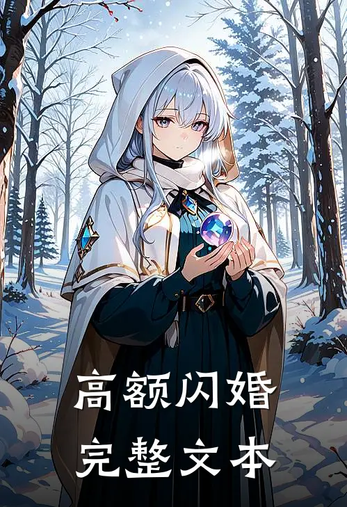 高额闪婚完整文本