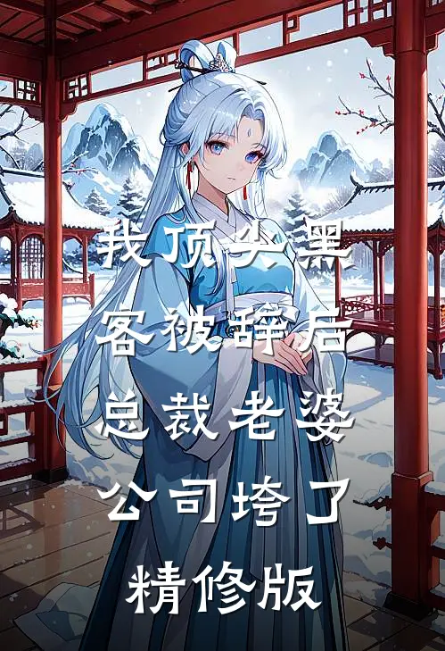 我顶尖黑客被辞后，总裁老婆公司垮了精修版
