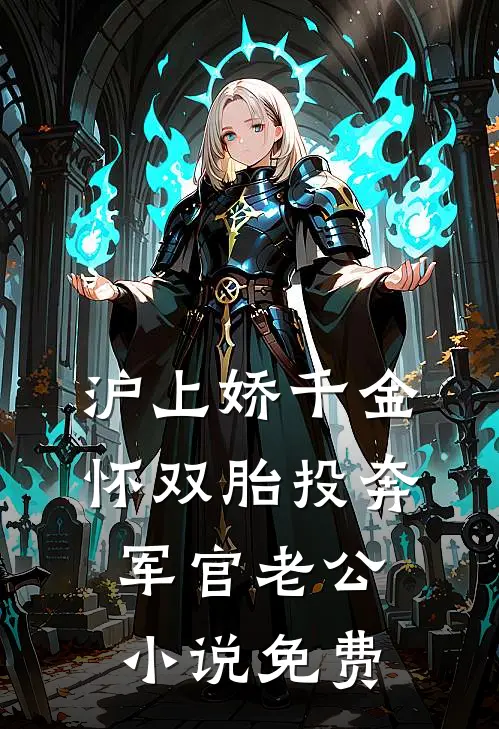 沪上娇千金，怀双胎投奔军官老公小说免费