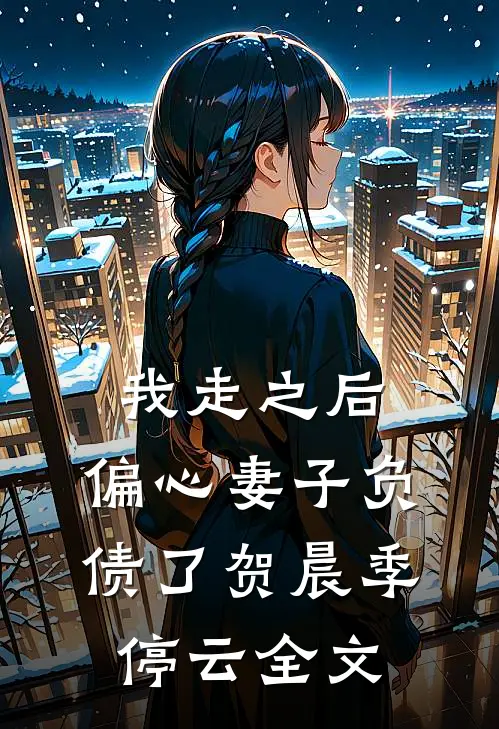 我走之后，偏心妻子负债了贺晨季停云全文