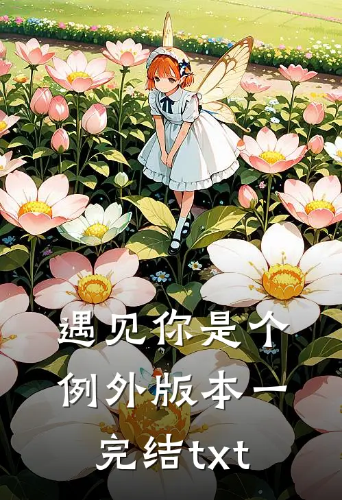 遇见你是个例外 版本一完结txt