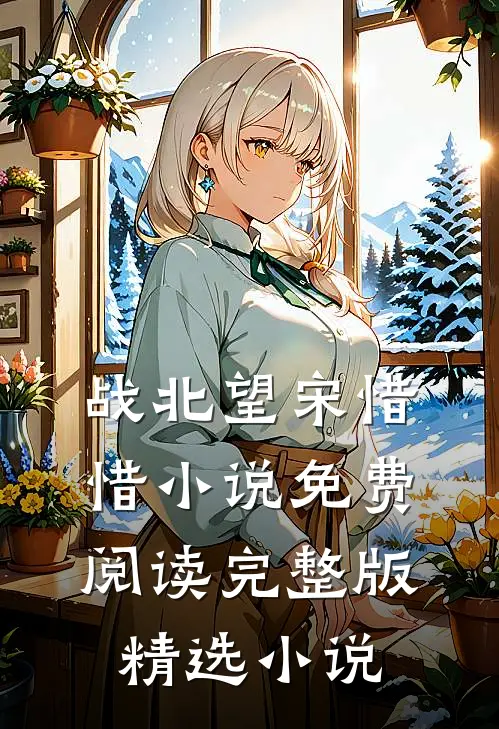 战北望宋惜惜小说免费阅读完整版精选小说