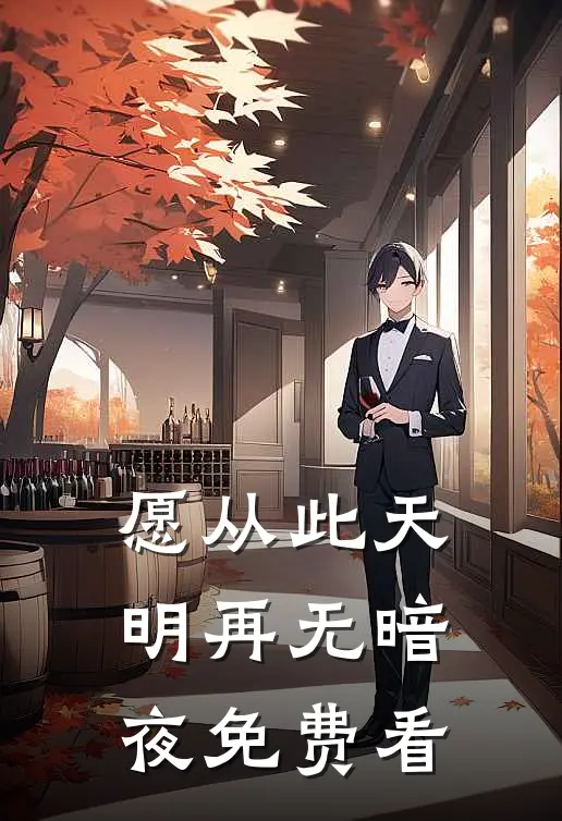 愿从此天明再无暗夜免费看