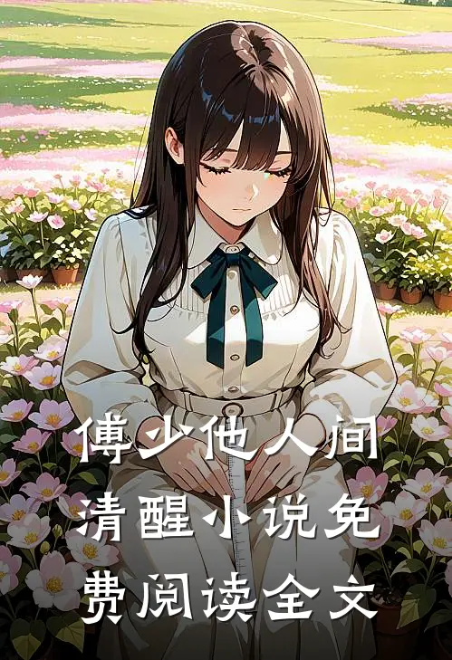 傅少他人间清醒小说免费阅读全文