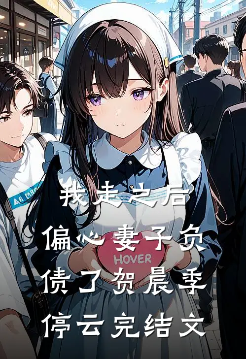 我走之后，偏心妻子负债了贺晨季停云完结文