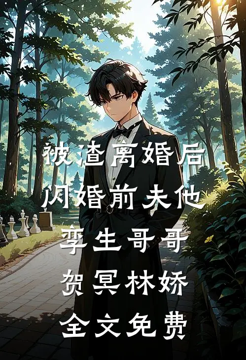 被渣离婚后，闪婚前夫他孪生哥哥贺冥林娇全文免费