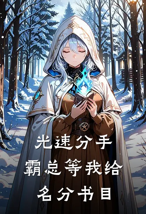 光速分手，霸总等我给名分书目
