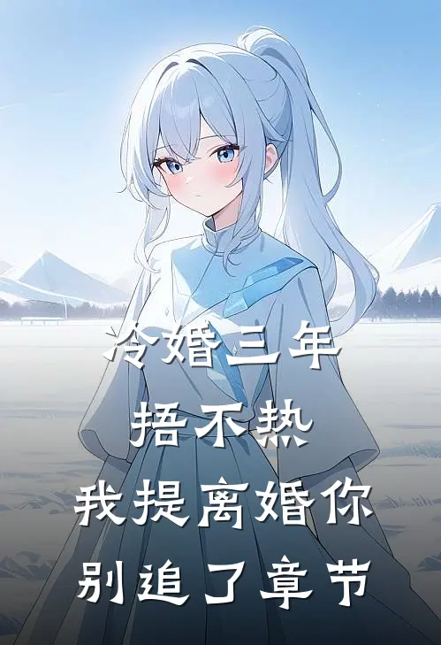冷婚三年捂不热，我提离婚你别追了章节