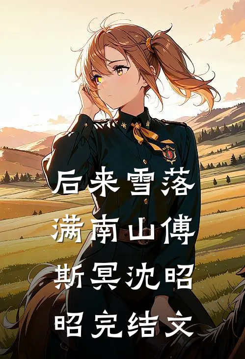 后来雪落满南山傅斯冥沈昭昭完结文
