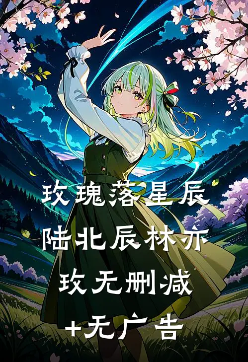 玫瑰落星辰陆北辰林亦玫无删减+无广告