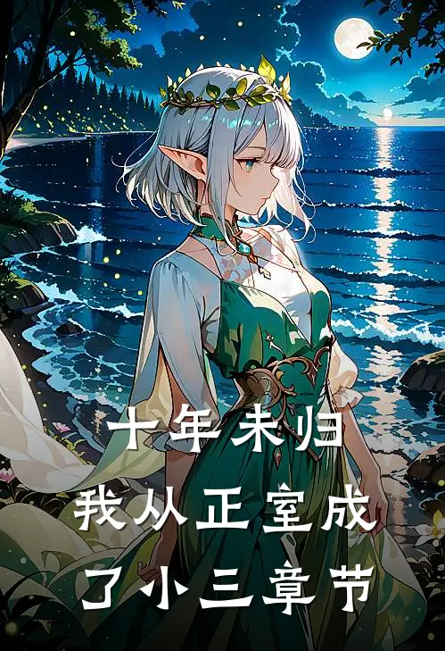 十年未归，我从正室成了小三章节