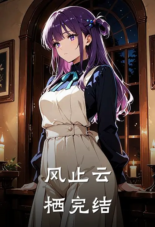 风止云栖完结