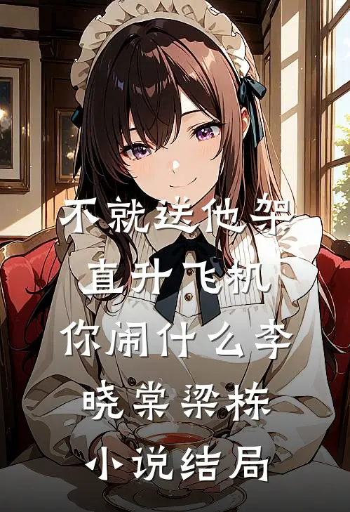 不就送他架直升飞机，你闹什么李晓棠梁栋小说结局
