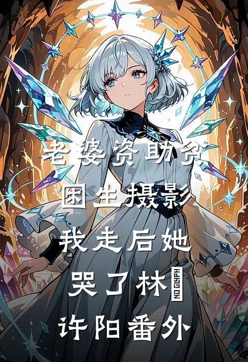 老婆资助贫困生摄影，我走后她哭了林玥许阳 番外