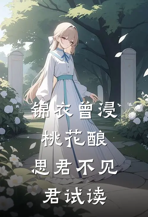 锦衣曾浸桃花酿，思君不见君试读
