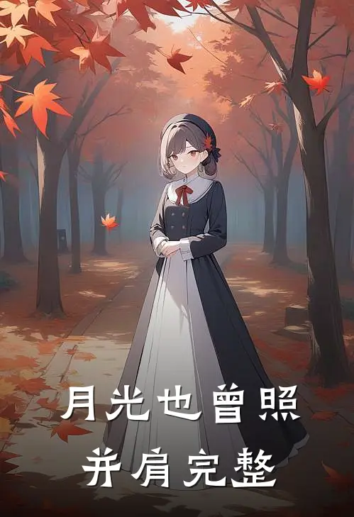 月光也曾照并肩完整