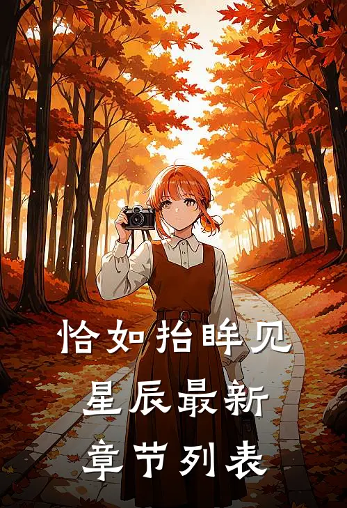 恰如抬眸见星辰最新章节列表