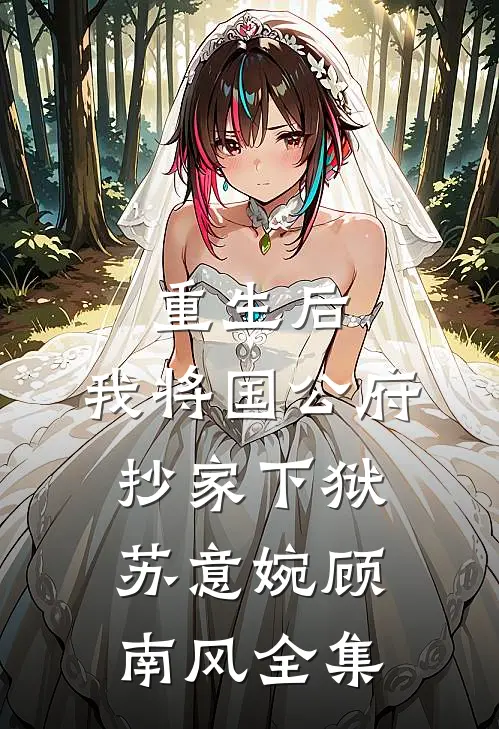 重生后，我将国公府抄家下狱苏意婉顾南风全集