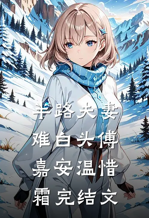 半路夫妻难白头傅嘉安温惜霜完结文